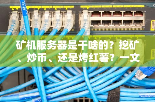 矿机服务器是干啥的？挖矿、炒币、还是烤红薯？一文揭秘它的钞能力！