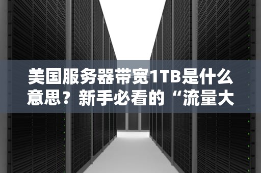 美国服务器带宽1TB是什么意思？新手必看的“流量大餐”解析！