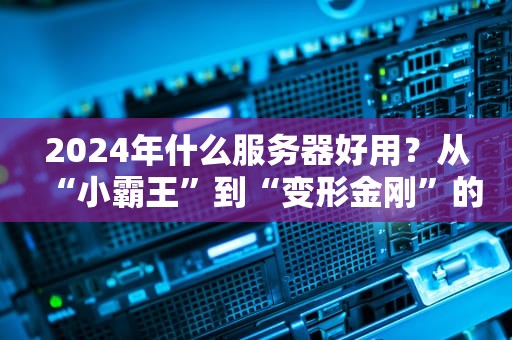 2024年什么服务器好用？从“小霸王”到“变形金刚”的硬核避坑指南！