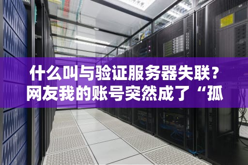 什么叫与验证服务器失联？网友我的账号突然成了“孤勇者”！