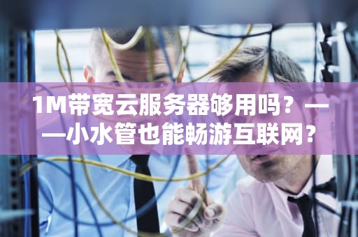 1M带宽云服务器够用吗？——小水管也能畅游互联网？
