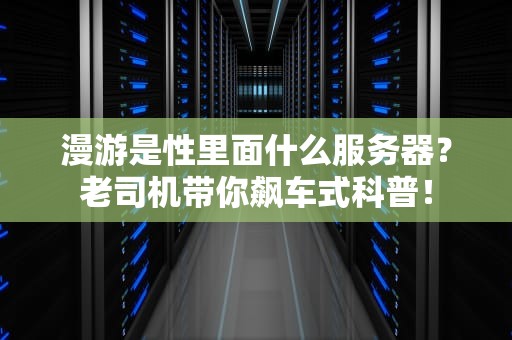 漫游是性里面什么服务器？老司机带你飙车式科普！