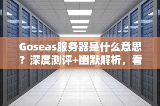 Goseas服务器是什么意思？深度测评+幽默解析，看完秒懂！