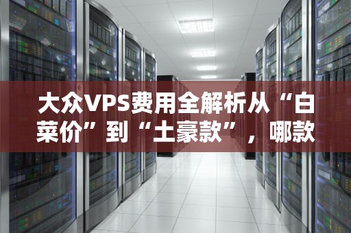 大众VPS费用全解析从“白菜价”到“土豪款”，哪款才是你的菜？