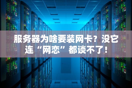 服务器为啥要装网卡？没它连“网恋”都谈不了！