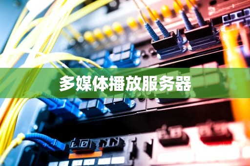多媒体播放服务器