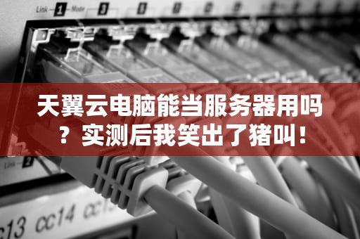 天翼云电脑能当服务器用吗？实测后我笑出了猪叫！