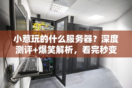 小惹玩的什么服务器？深度测评+爆笑解析，看完秒变服务器老司机！