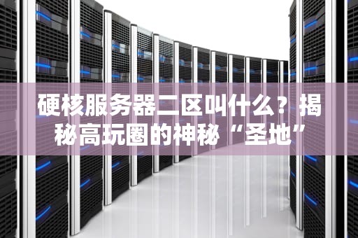 硬核服务器二区叫什么？揭秘高玩圈的神秘“圣地”