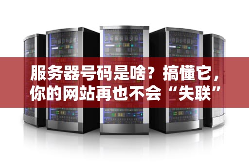 服务器号码是啥？搞懂它，你的网站再也不会“失联”啦！
