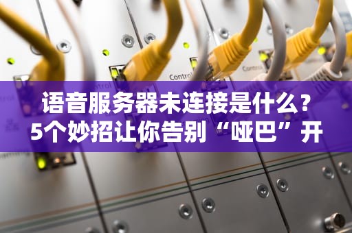 语音服务器未连接是什么？5个妙招让你告别“哑巴”开黑！