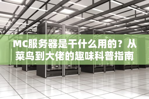 MC服务器是干什么用的？从菜鸟到大佬的趣味科普指南！