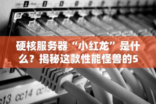 硬核服务器“小红龙”是什么？揭秘这款性能怪兽的5大杀手锏！