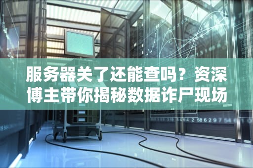 服务器关了还能查吗？资深博主带你揭秘数据诈尸现场！