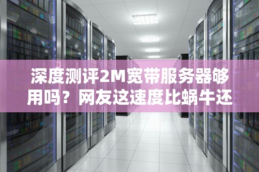 深度测评2M宽带服务器够用吗？网友这速度比蜗牛还感人！