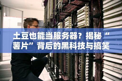 土豆也能当服务器？揭秘“薯片”背后的黑科技与搞笑实验