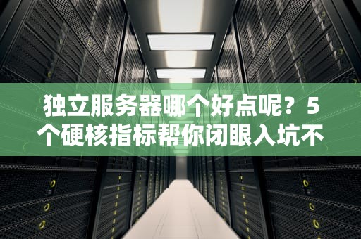 独立服务器哪个好点呢？5个硬核指标帮你闭眼入坑不翻车！