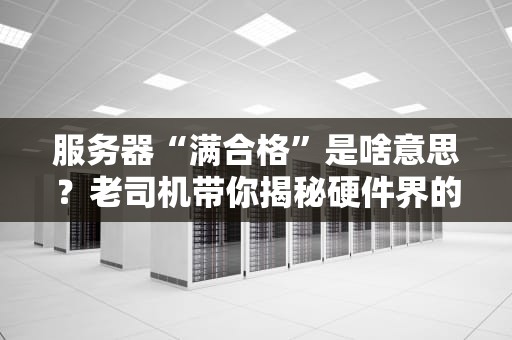 服务器“满合格”是啥意思？老司机带你揭秘硬件界的“三好学生”！