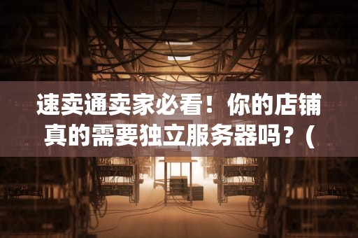 速卖通卖家必看！你的店铺真的需要独立服务器吗？(附专业测评+省钱攻略)