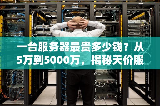 一台服务器最贵多少钱？从5万到5000万，揭秘天价服务器的“烧钱”逻辑！