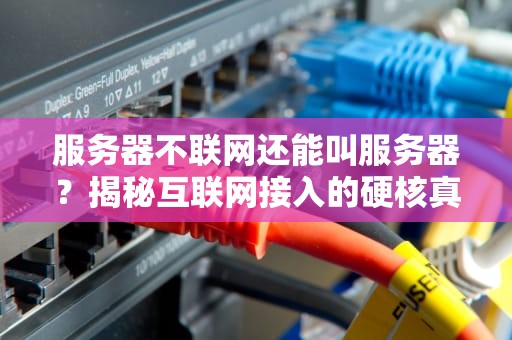 服务器不联网还能叫服务器？揭秘互联网接入的硬核真相！