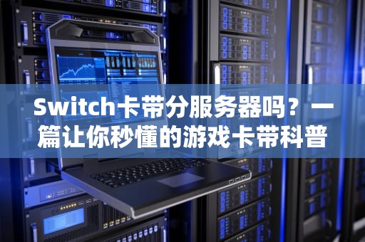 Switch卡带分服务器吗？一篇让你秒懂的游戏卡带科普文！