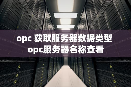 opc 获取服务器数据类型 opc服务器名称查看