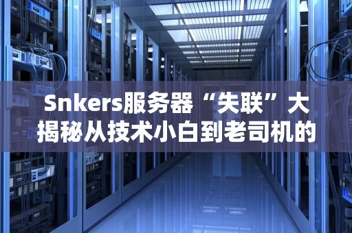 Snkers服务器“失联”大揭秘从技术小白到老司机的避坑指南