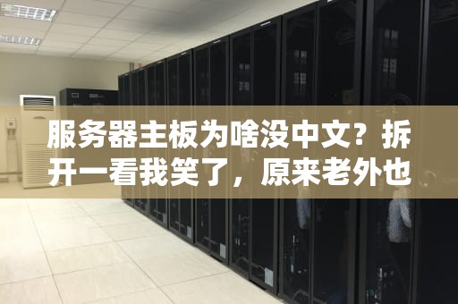 服务器主板为啥没中文？拆开一看我笑了，原来老外也偷懒！