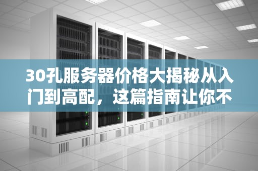 30孔服务器价格大揭秘从入门到高配，这篇指南让你不花冤枉钱！