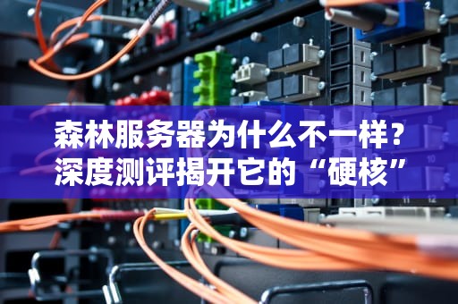 森林服务器为什么不一样？深度测评揭开它的“硬核”秘密！