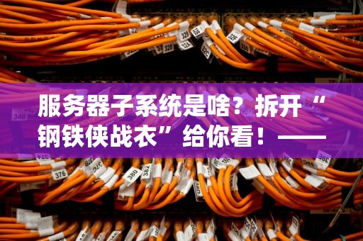 服务器子系统是啥？拆开“钢铁侠战衣”给你看！——全网最逗比硬核科普