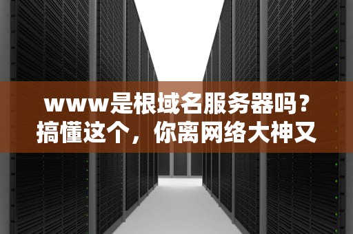 www是根域名服务器吗？搞懂这个，你离网络大神又近一步！
