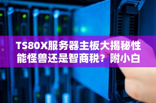 TS80X服务器主板大揭秘性能怪兽还是智商税？附小白避坑指南