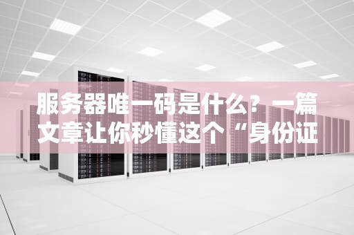 服务器唯一码是什么？一篇文章让你秒懂这个“身份证”的奥秘！