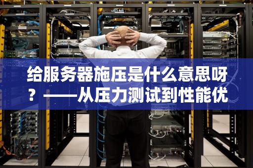 给服务器施压是什么意思呀？——从压力测试到性能优化的全面解析