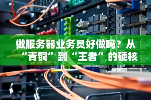 做服务器业务员好做吗？从“青铜”到“王者”的硬核生存指南