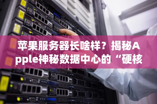 苹果服务器长啥样？揭秘Apple神秘数据中心的“硬核内幕”