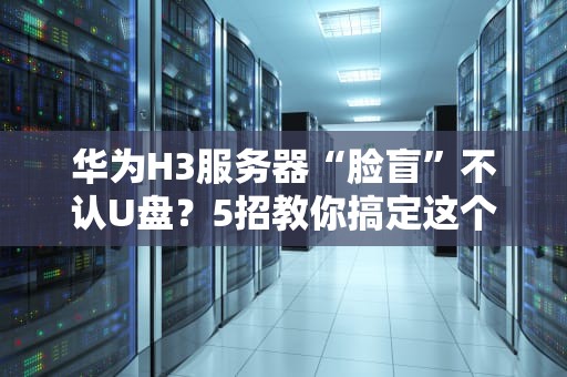 华为H3服务器“脸盲”不认U盘？5招教你搞定这个傲娇的硬件大佬！