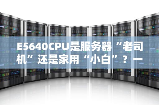 E5640CPU是服务器“老司机”还是家用“小白”？一文揭秘它的真实身份！