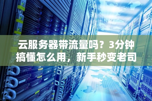 云服务器带流量吗？3分钟搞懂怎么用，新手秒变老司机！