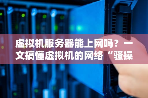 虚拟机服务器能上网吗？一文搞懂虚拟机的网络“骚操作”