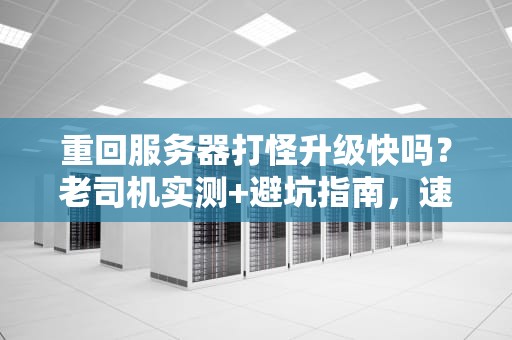 重回服务器打怪升级快吗？老司机实测+避坑指南，速度翻倍不是梦！