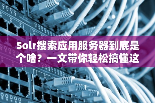 Solr搜索应用服务器到底是个啥？一文带你轻松搞懂这个数据挖掘机！