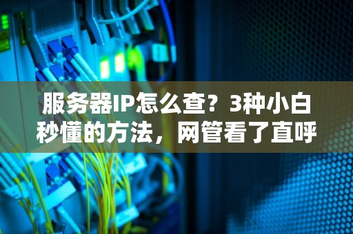 服务器IP怎么查？3种小白秒懂的方法，网管看了直呼内行！