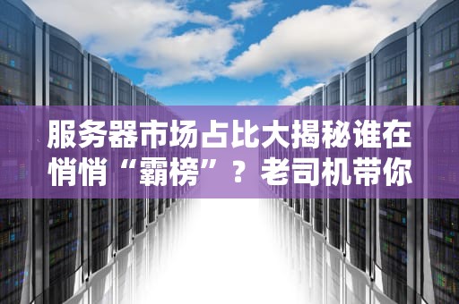 服务器市场占比大揭秘谁在悄悄“霸榜”？老司机带你吃透行业格局！