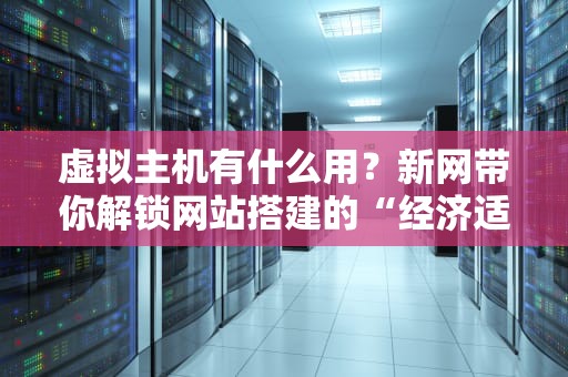 虚拟主机有什么用？新网带你解锁网站搭建的“经济适用房”