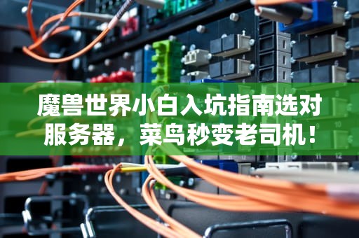 魔兽世界小白入坑指南选对服务器，菜鸟秒变老司机！