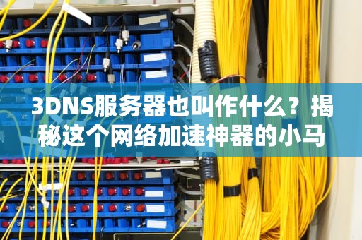 3DNS服务器也叫作什么？揭秘这个网络加速神器的小马甲！