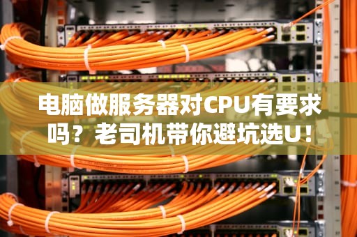 电脑做服务器对CPU有要求吗？老司机带你避坑选U！